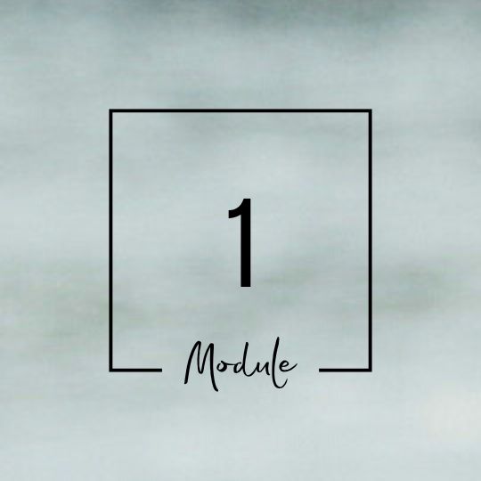Module 1 Module 1