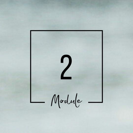 Module 2 Module 2