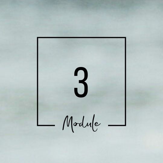 Module 3 Module 3