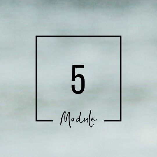 Module 5 Module 5