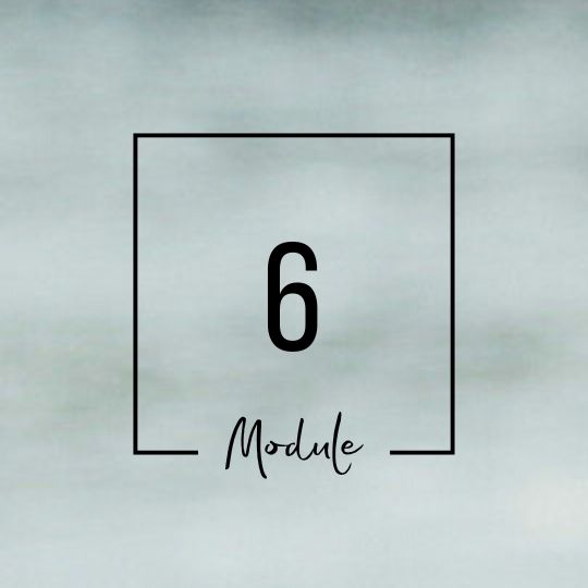 Module 6 Module 6