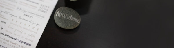 the DDA manifesto, a rock with the word abundance written on it